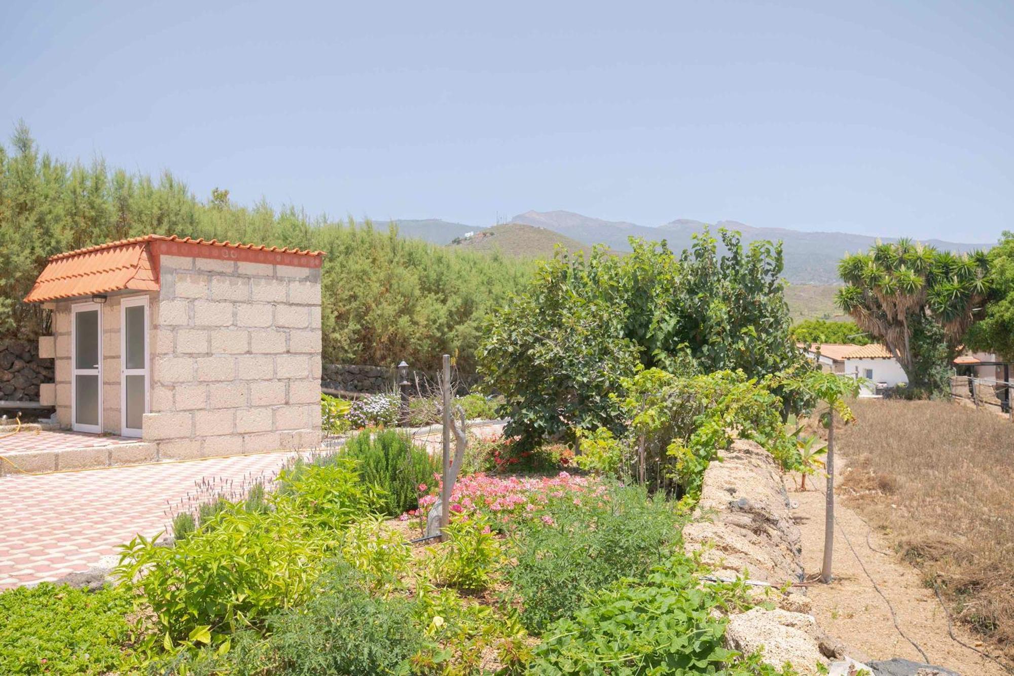 Vila Casa Wayra Granadilla De Abona Exteriér fotografie