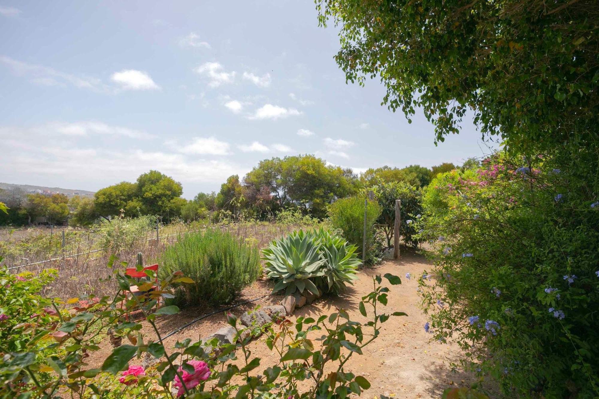 Vila Casa Wayra Granadilla De Abona Exteriér fotografie