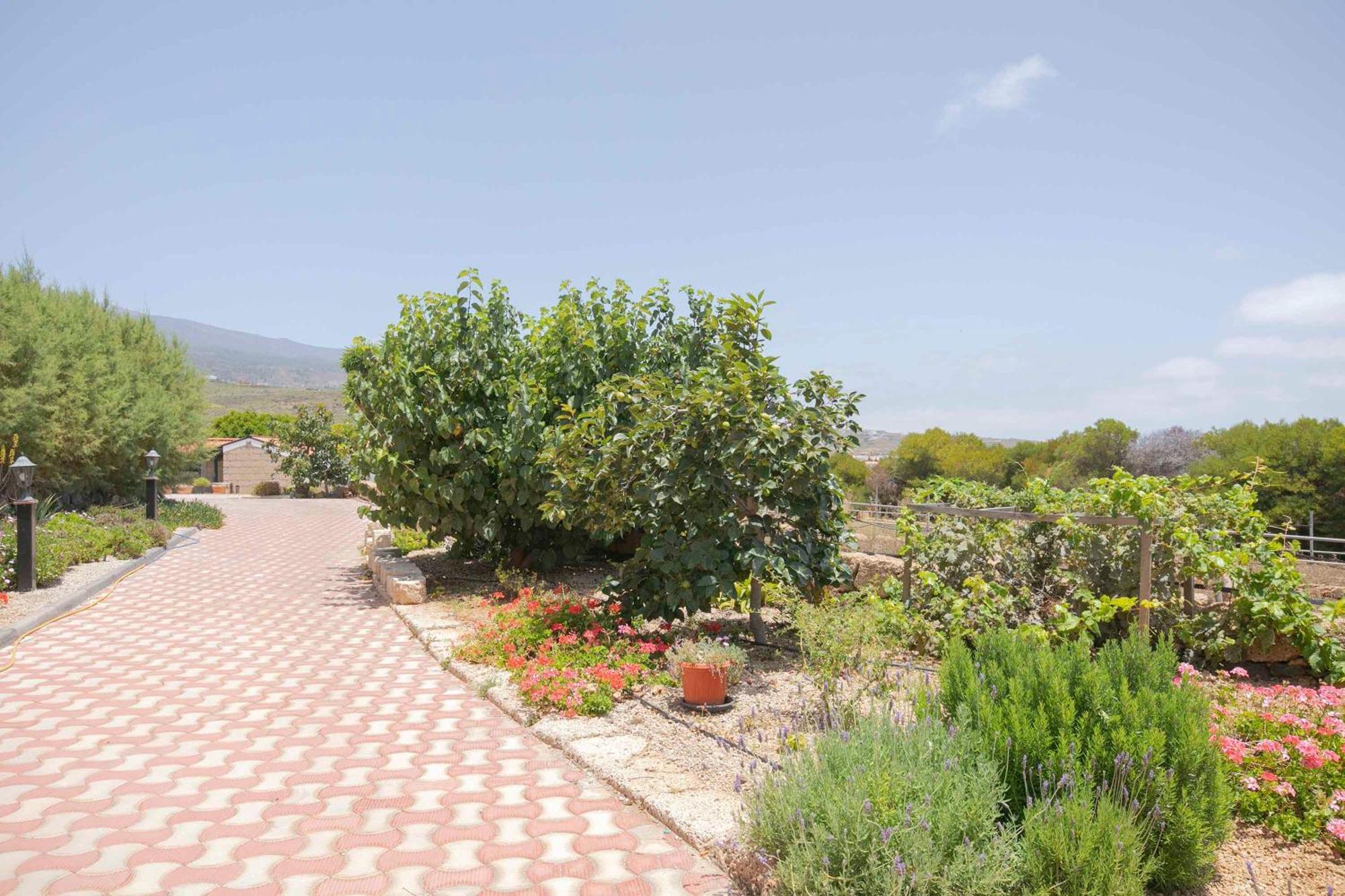 Vila Casa Wayra Granadilla De Abona Exteriér fotografie